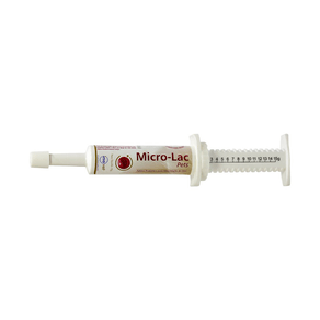 Probiótico Inovet Aditivo Microlac Seringa - 15 G